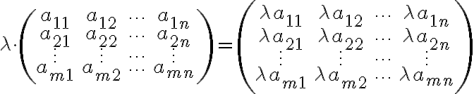  \lambda \cdot \left(\begin{array}{cccc} a_{11} & a_{12} & \cdots & a_{1n} \\ a_{21} & a_{22} &\cdots & a_{2n} \\ \vdots & \vdots & \cdots &\vdots \\ a_{m1} & a_{m2} & \cdots & a_{mn} \end{array} \right) = \left(\begin{array}{cccc} \lambda a_{11} & \lambda a_{12} & \cdots & \lambda a_{1n} \\ \lambda a_{21} & \lambda a_{22} &\cdots & \lambda a_{2n} \\ \vdots & \vdots & \cdots &\vdots \\ \lambda a_{m1} & \lambda a_{m2} & \cdots & \lambda a_{mn} \end{array} \right) 