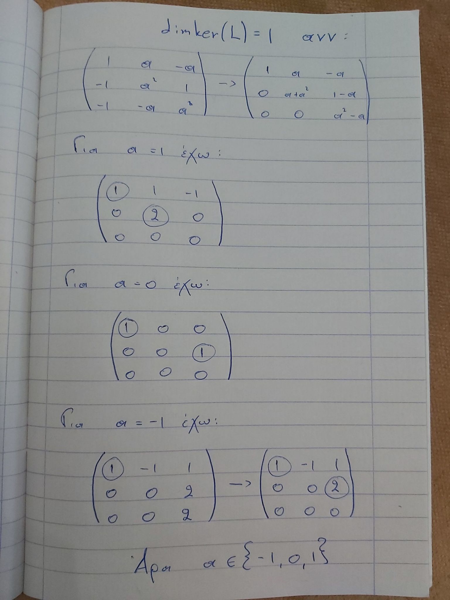 Συνημμένο 143544656_1110029646127827_1924414378492738602_n (1).jpg